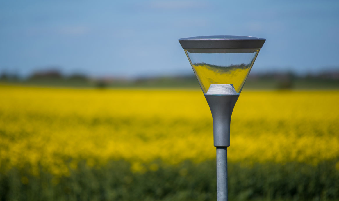 skypark_rapsmark_1166